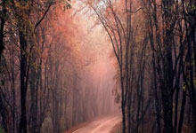 黑白体育:海口集训申花热身国安 新助教新外援将正式亮相.