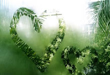 黑白体育:【光明时评】城市释放户外运动经济潜能光明网-《光明日报.